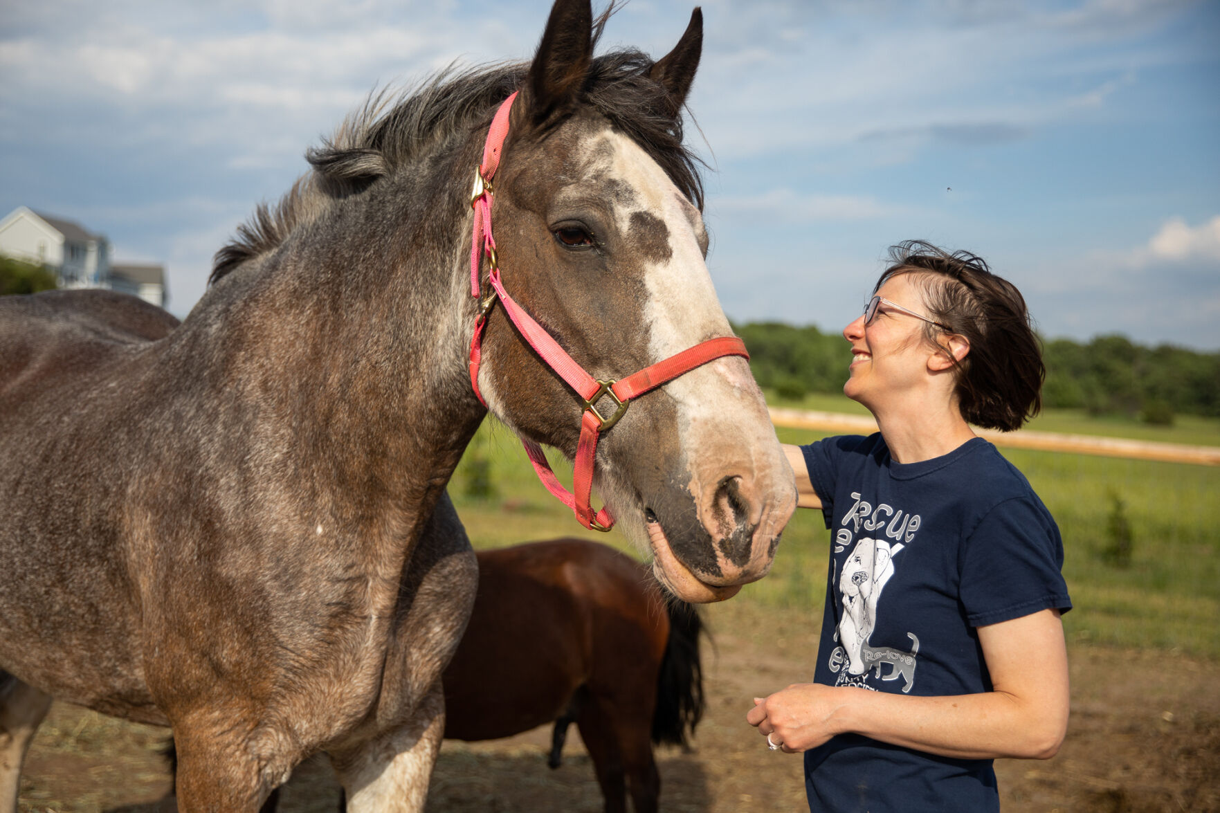A haven at Hyder Rock Lewis County farm gives new life to horses, other unhomed animals